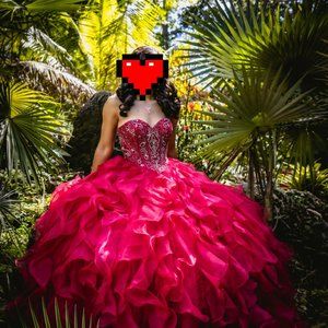 Gorgeous Quinceanera/Sweet 16 Dress